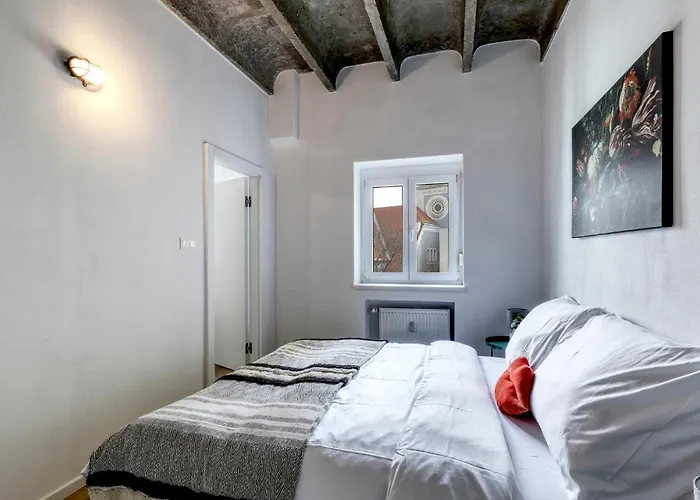 Star Stylish Apartment On The Famous Bratislava Pedestrian Zone